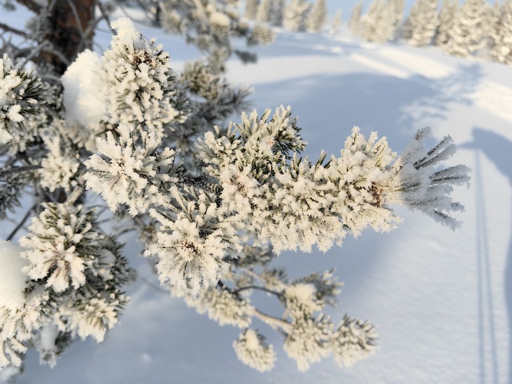 Фотография автора Sparc-jr