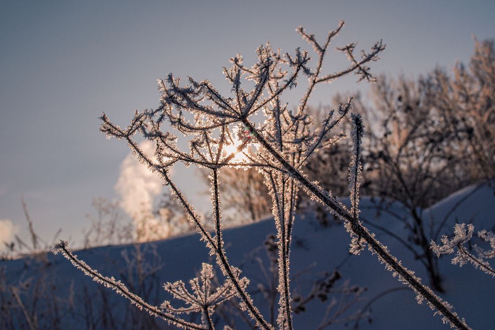 Морозный вечер