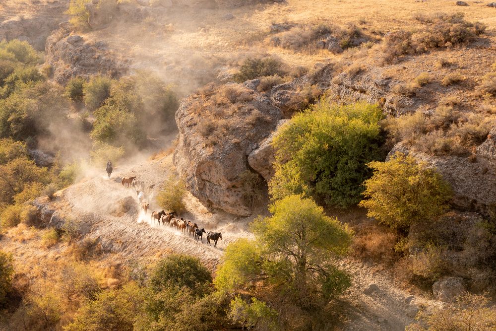 Photograph by Игорь