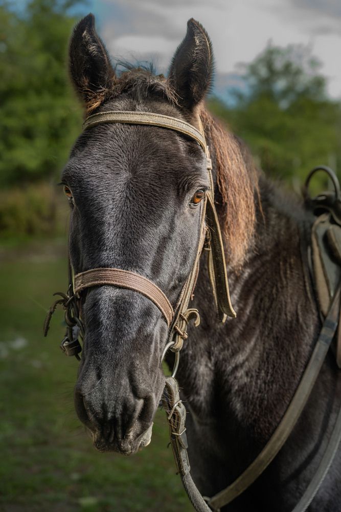 Photograph by Павел Видяйкин
