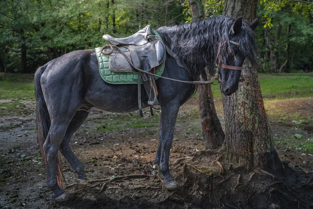 Photograph by Павел Видяйкин