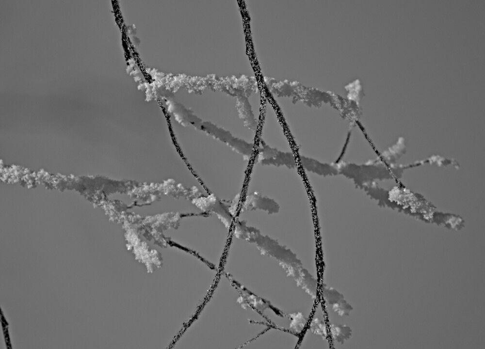 Photograph by Александр Прядко