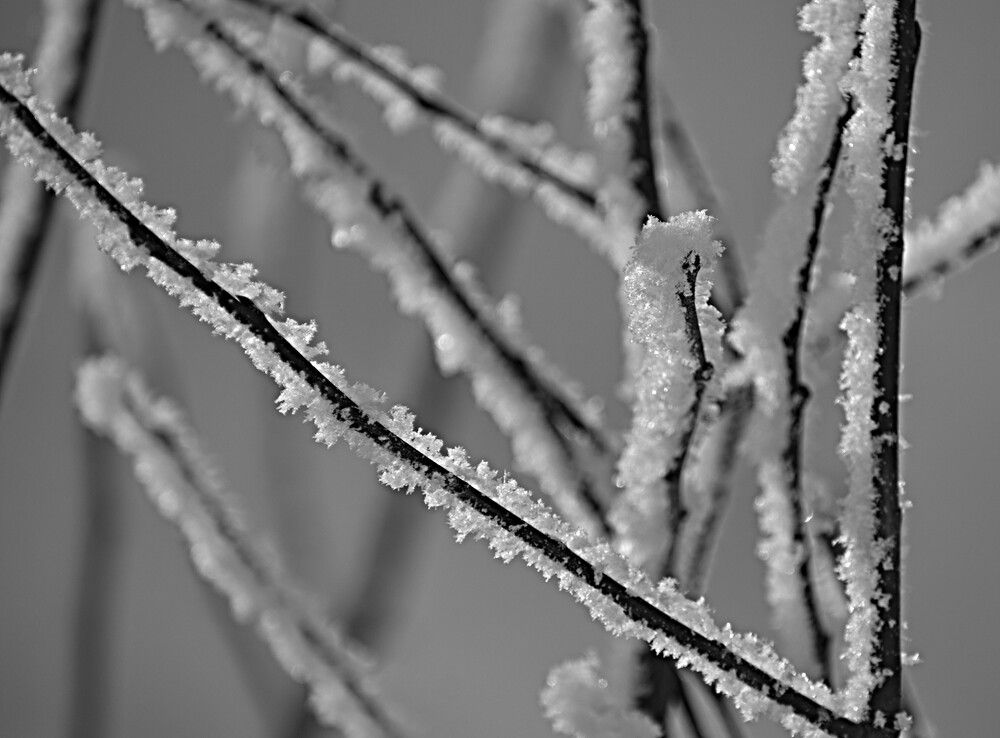 Photograph by Александр Прядко