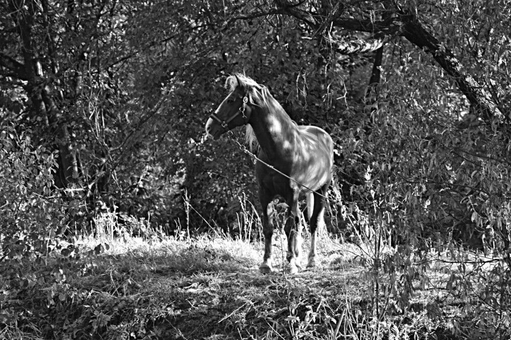 Photograph by Александр Прядко