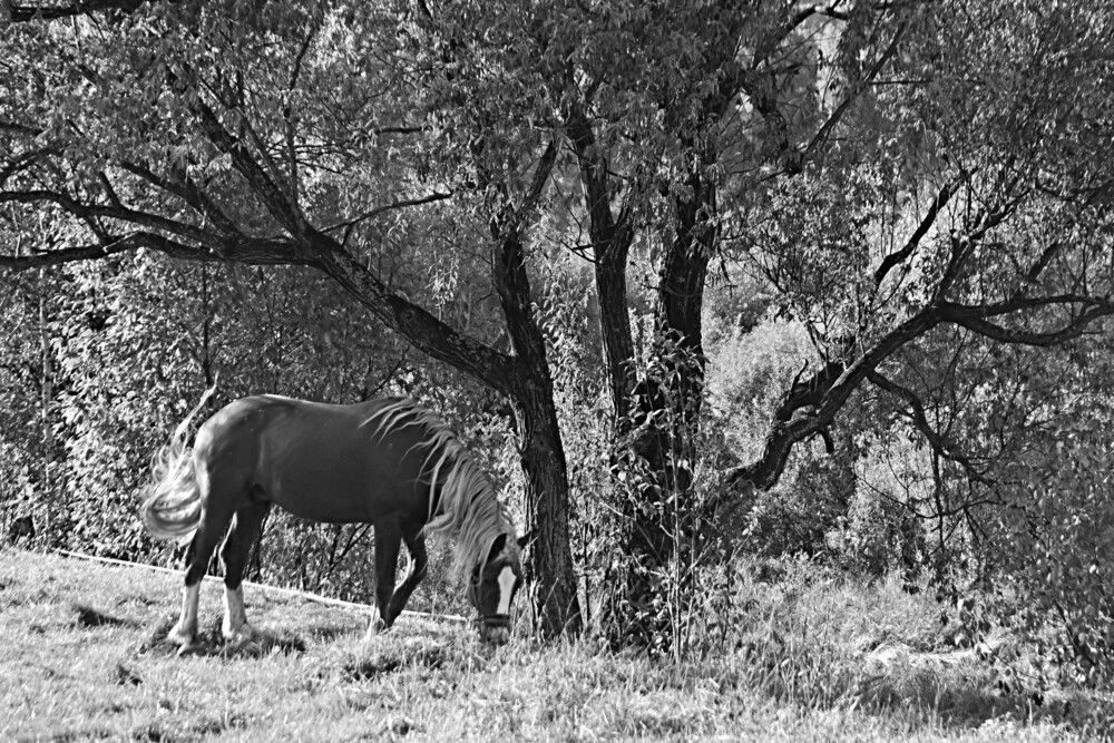 Photograph by Александр Прядко