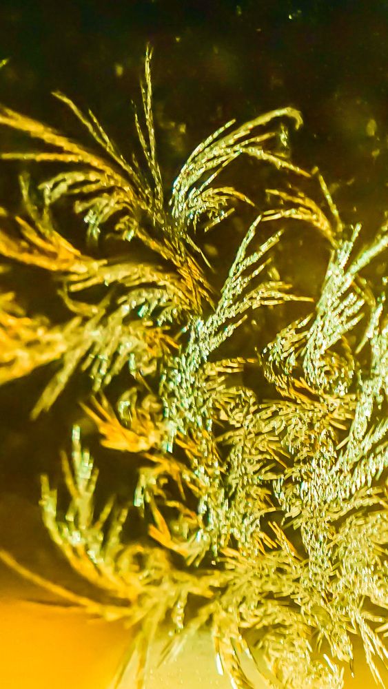 Photograph by Михаил Трусов