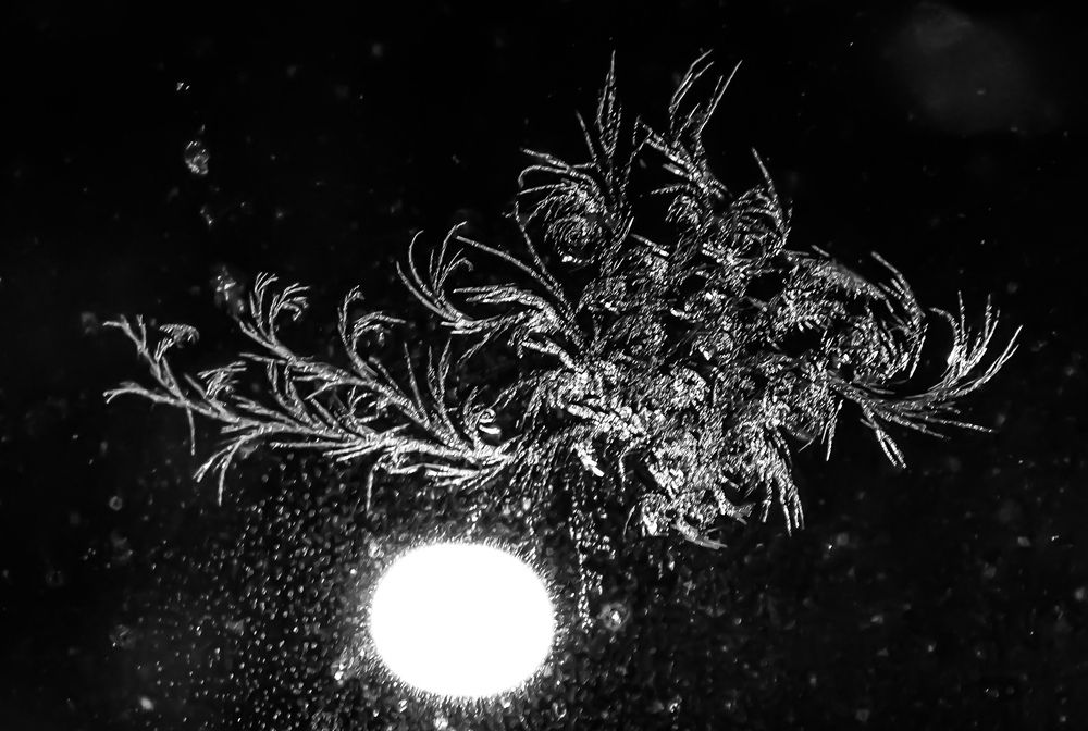 Photograph by Михаил Трусов