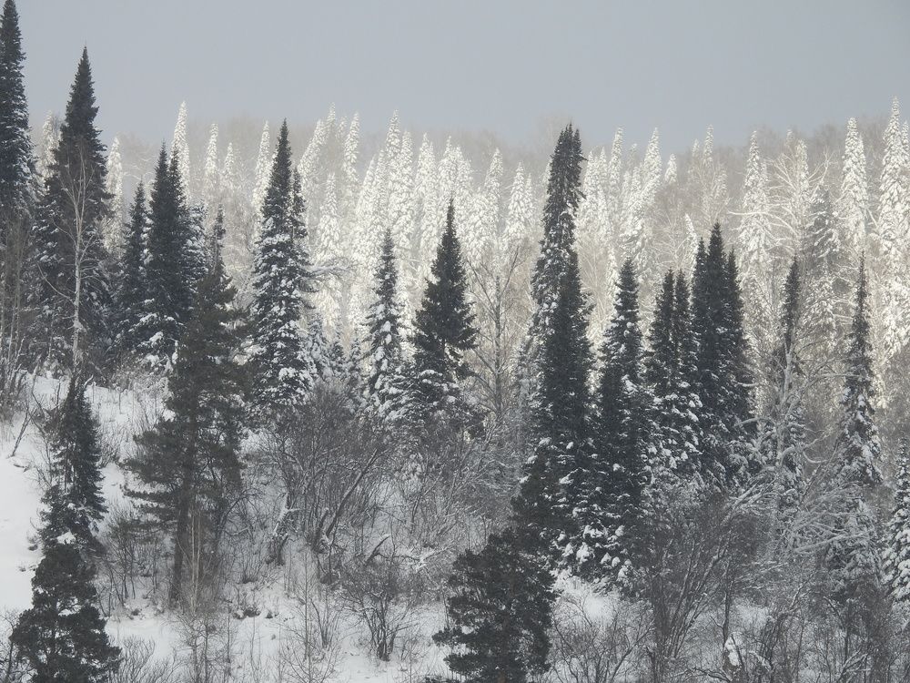 Photograph by Александр Прядко
