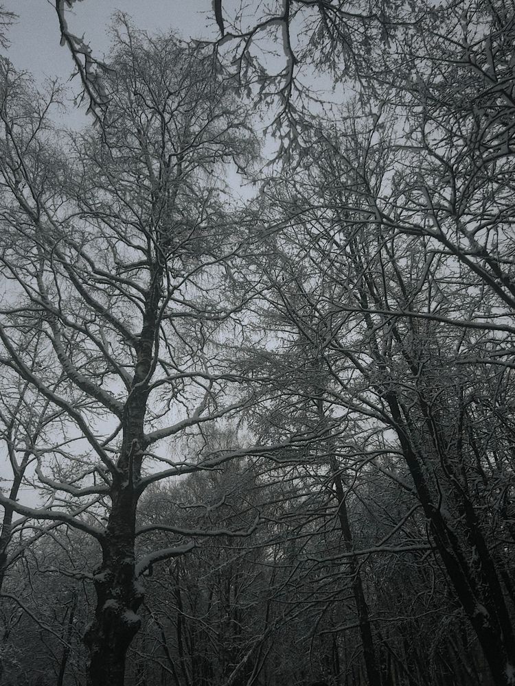 Photograph by Yulia Kotova