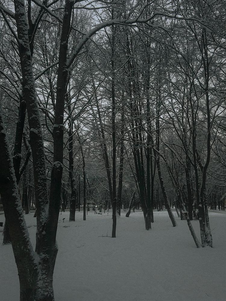 Photograph by Yulia Kotova