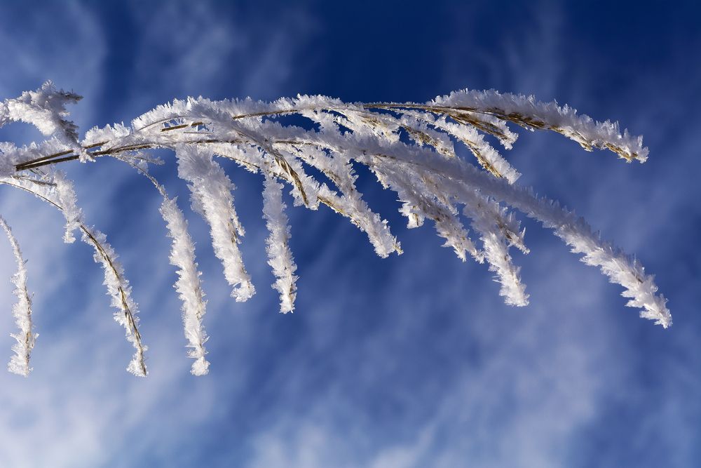 Photograph by Елена Вторушина