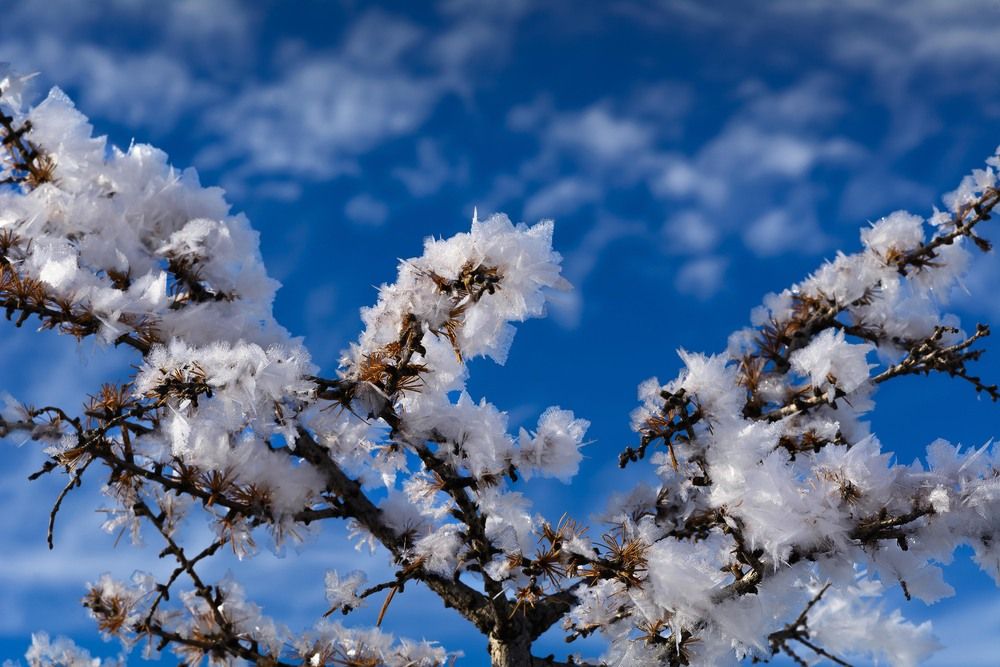 Photograph by Елена Вторушина