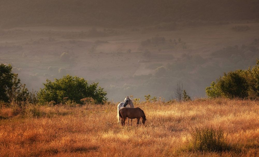 Photograph by Татьяна Бирюкова