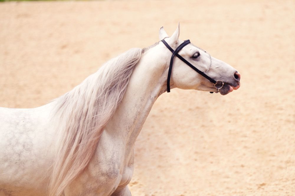 Photograph by Валерия Лунина