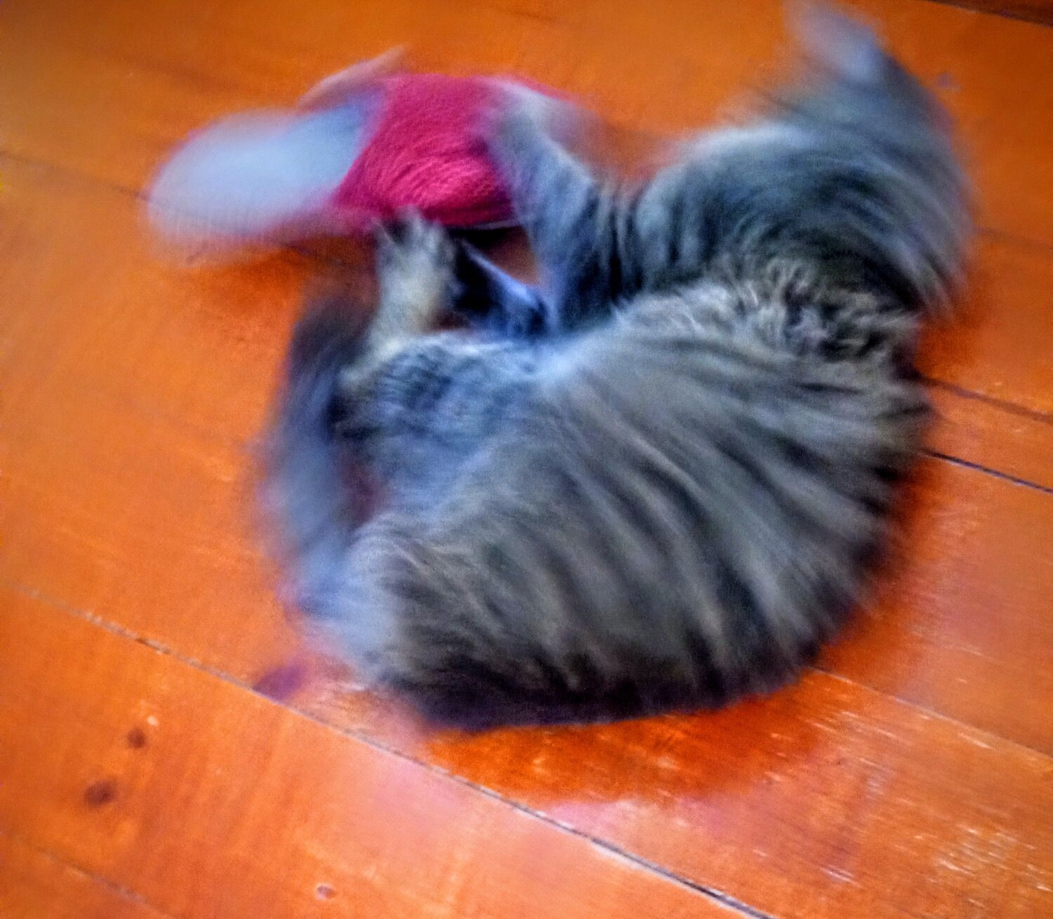 Photo #13017636