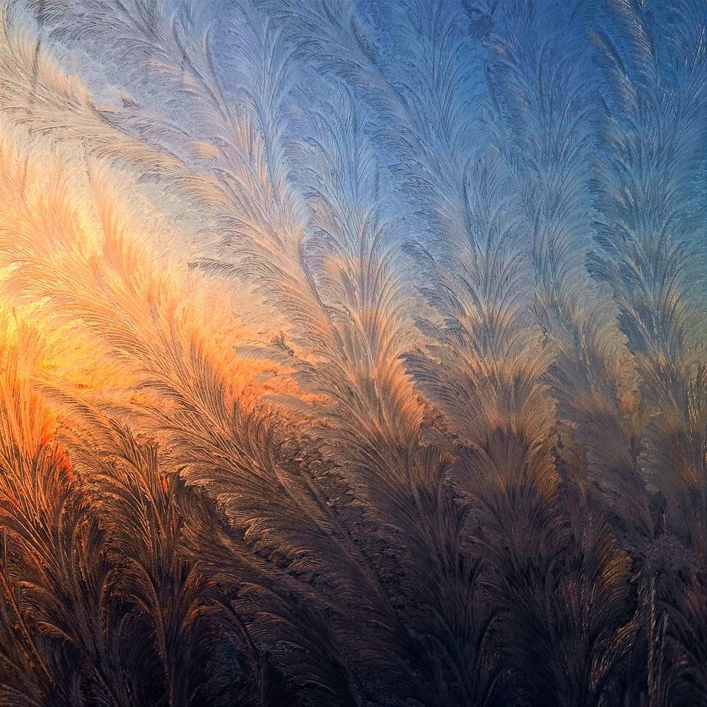 Photograph by Дарья