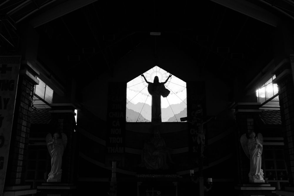 Photo #13017654