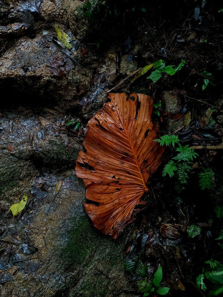 Photograph by Jefferson Simbaña