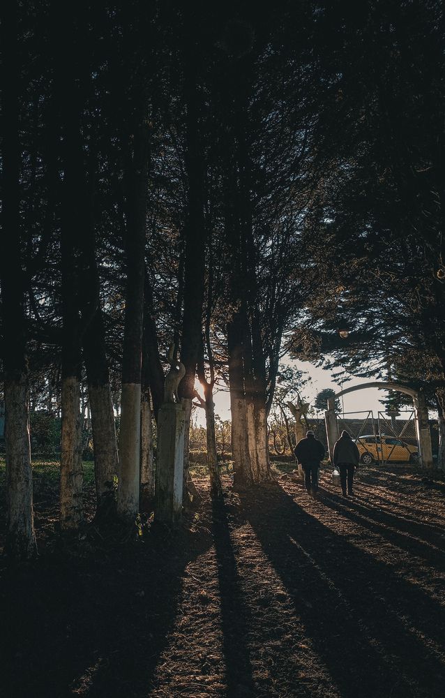 Photograph by Jefferson Simbaña