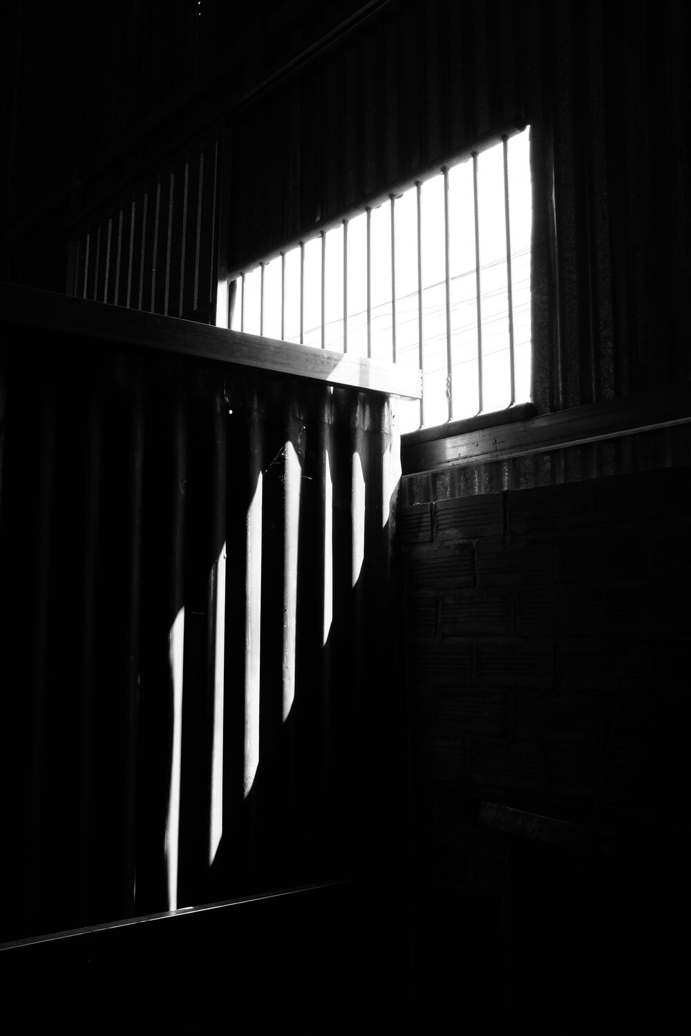 Photo #13017672