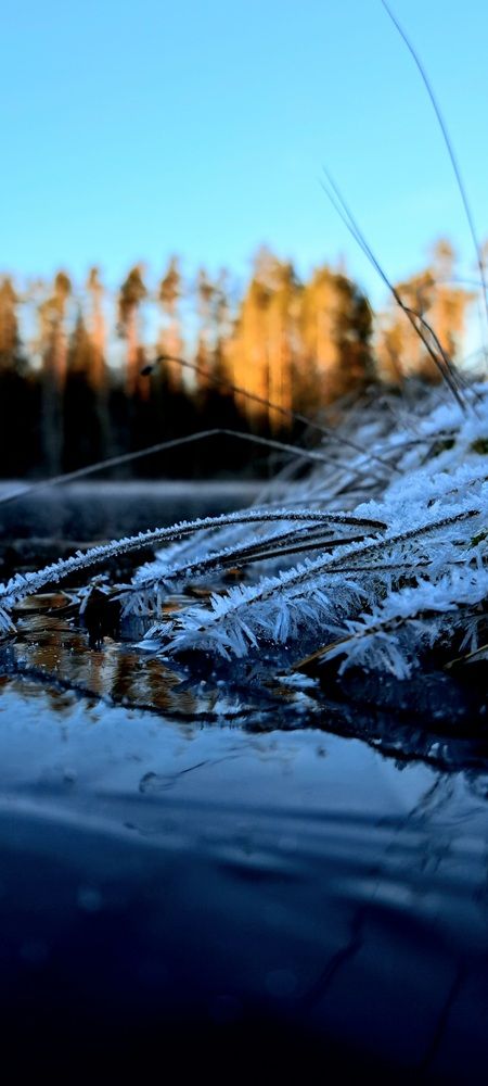 Photograph by Галина Перепечаева