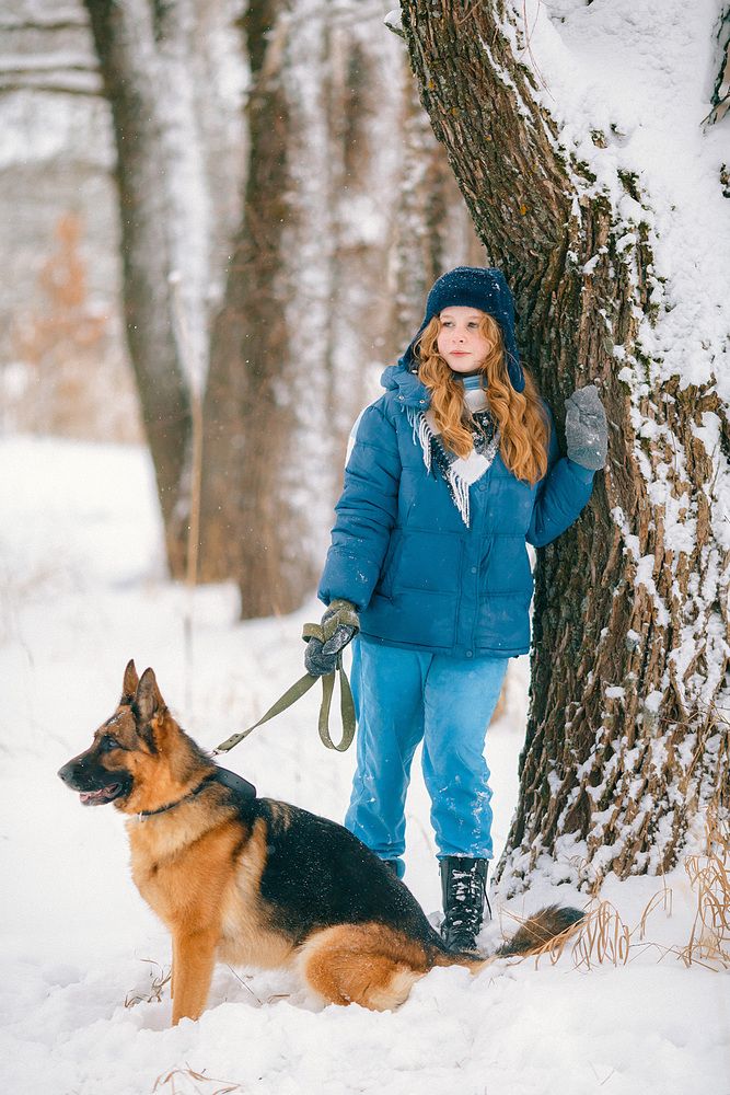 Фотография автора Тимофей Шутов
