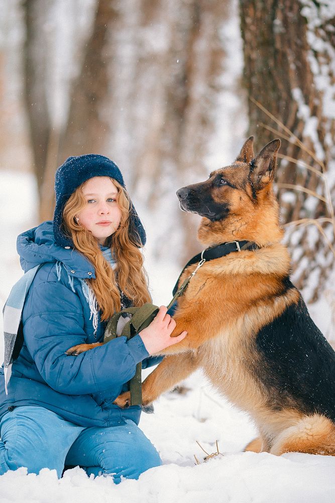 Фотография автора Тимофей Шутов
