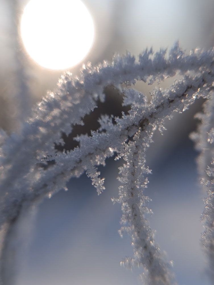 Photograph by Елена Шишкина