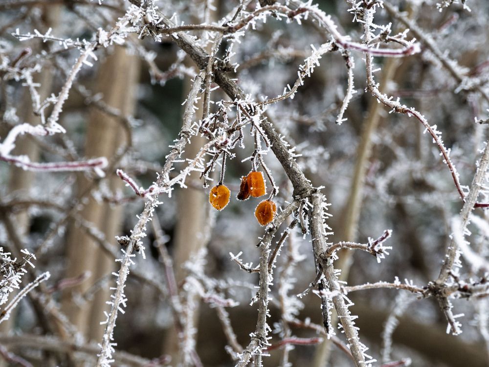 Photograph by Борис Полтавец