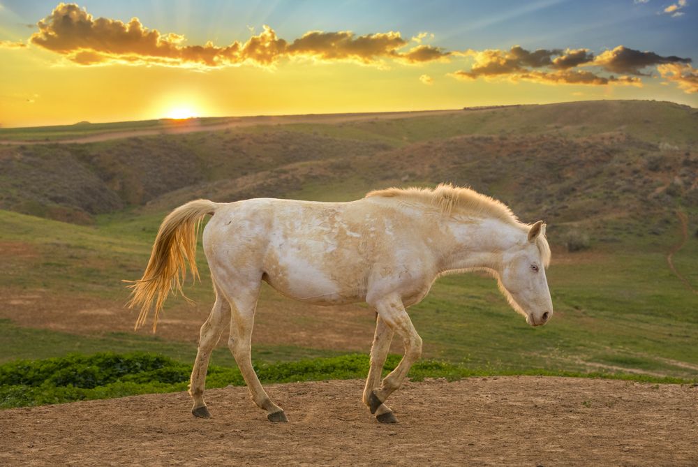 Photograph by Горбачева Маментьева Татьяна