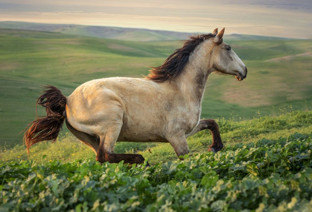 Photograph by Горбачева Маментьева Татьяна