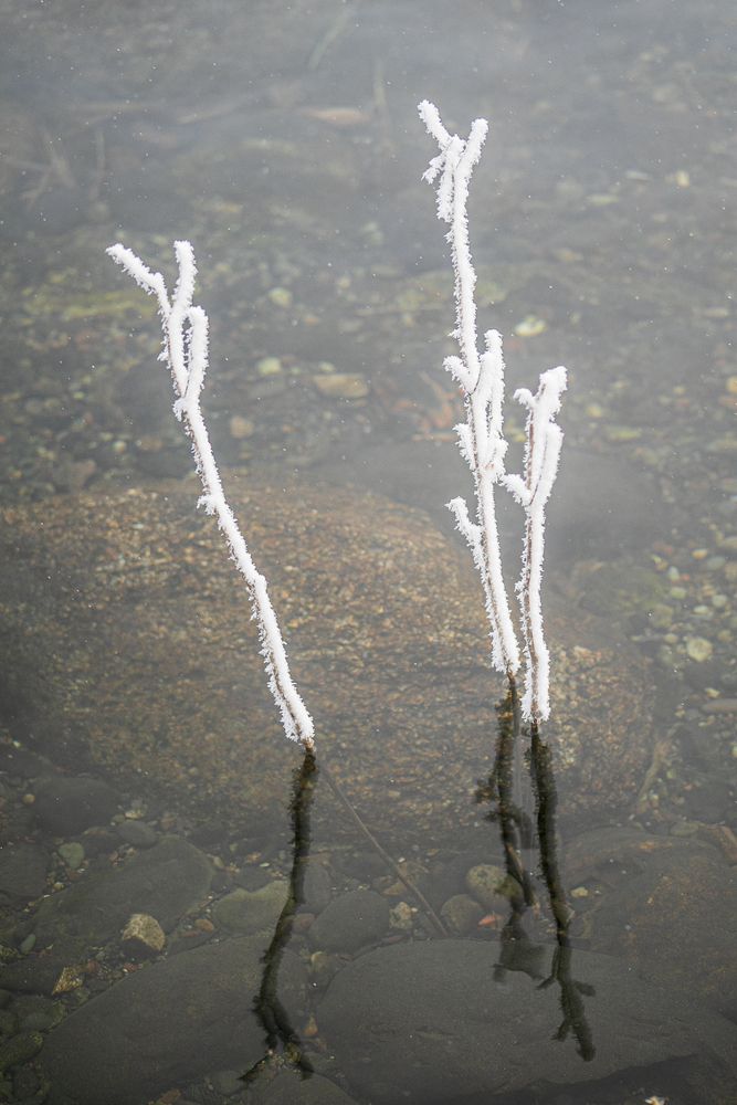 Photograph by ВЛАДИМИР ВОРОБЬЕВ