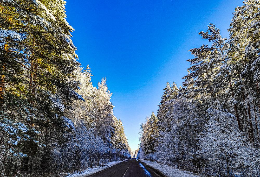 Photograph by Михаил Бояркин