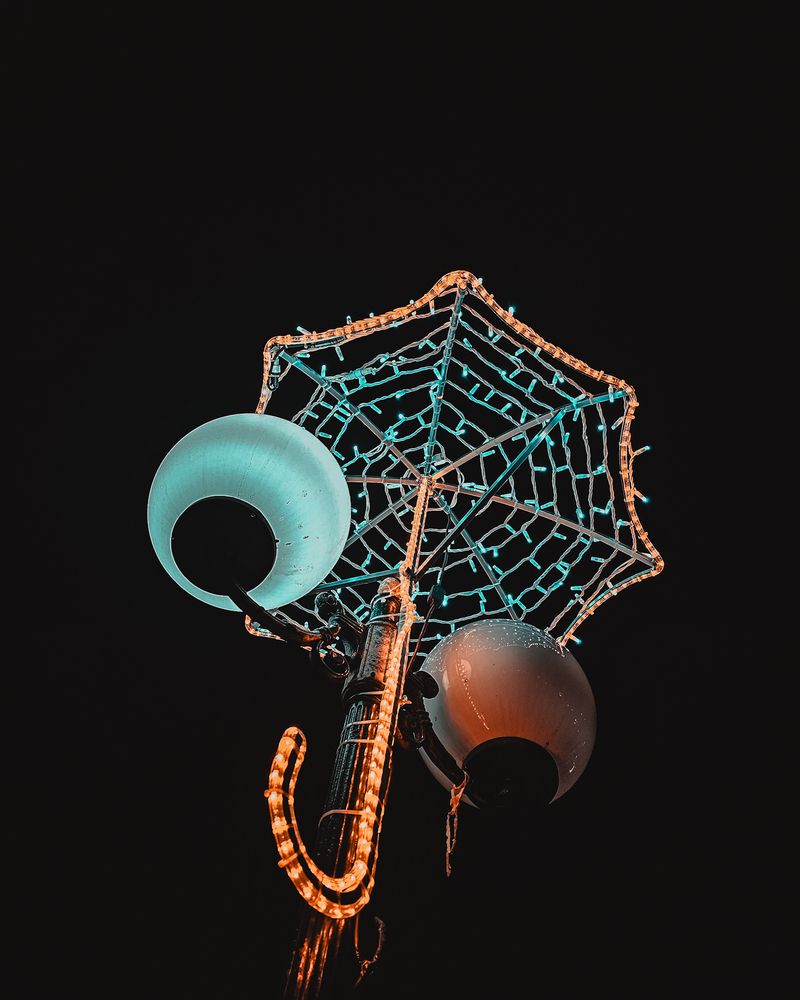 Photograph by Alexandra Sergeeva