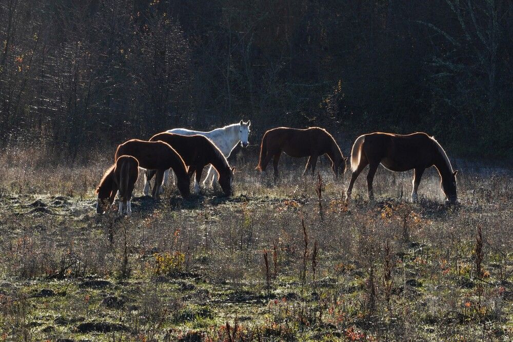 Photograph by света хлевненко