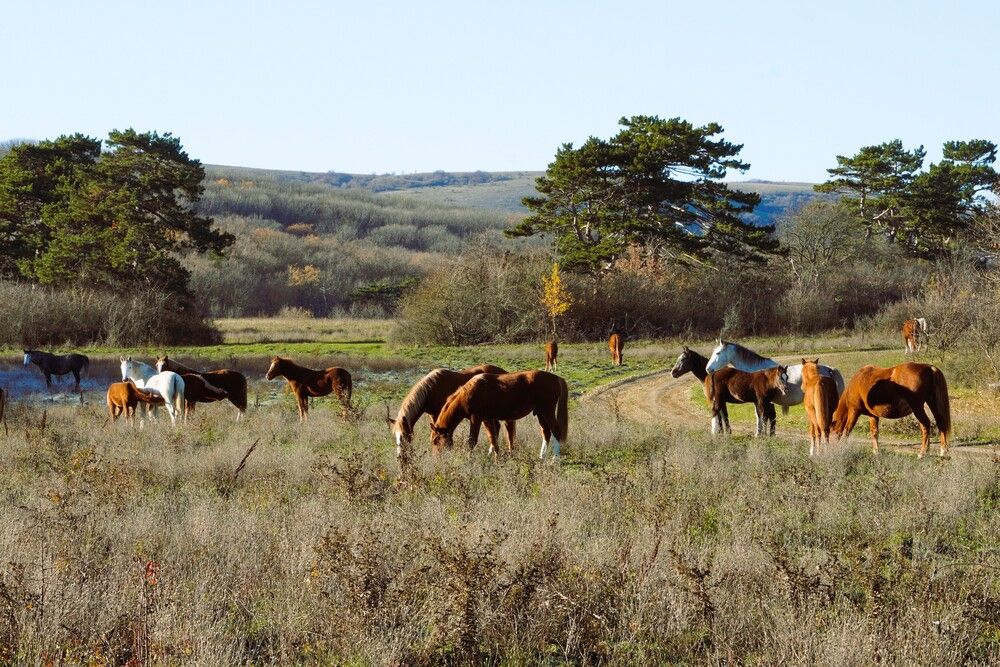 Photograph by света хлевненко