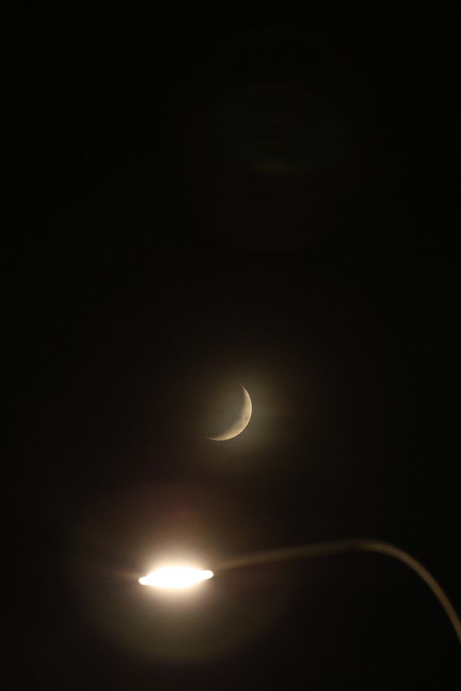 Фотография автора Diana