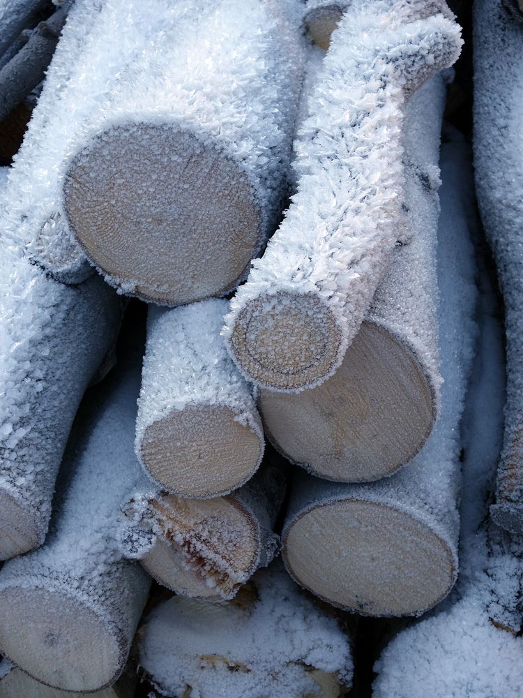 Photograph by Марина