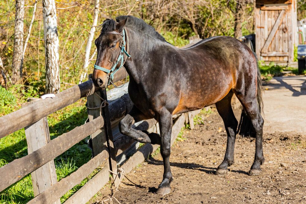 Photograph by Вячеслав Анатольевич