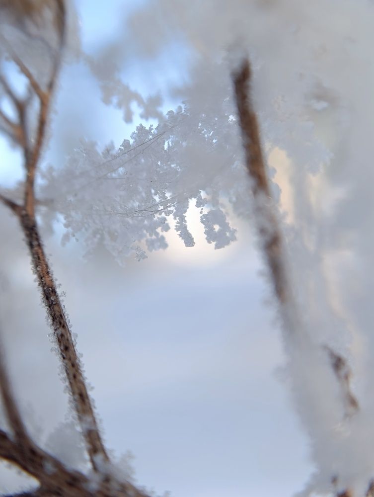 Photograph by Елена Шишкина