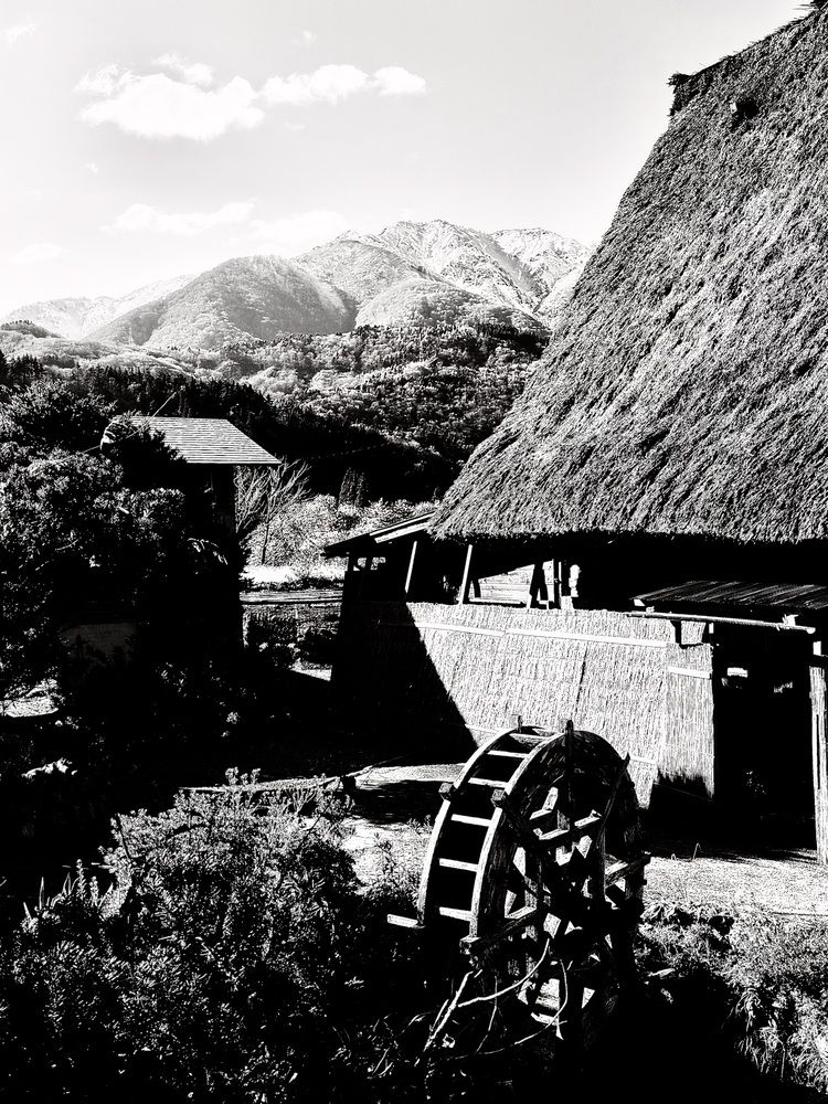 Фотография автора Алла Киселева