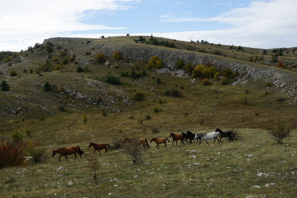 Photograph by света хлевненко