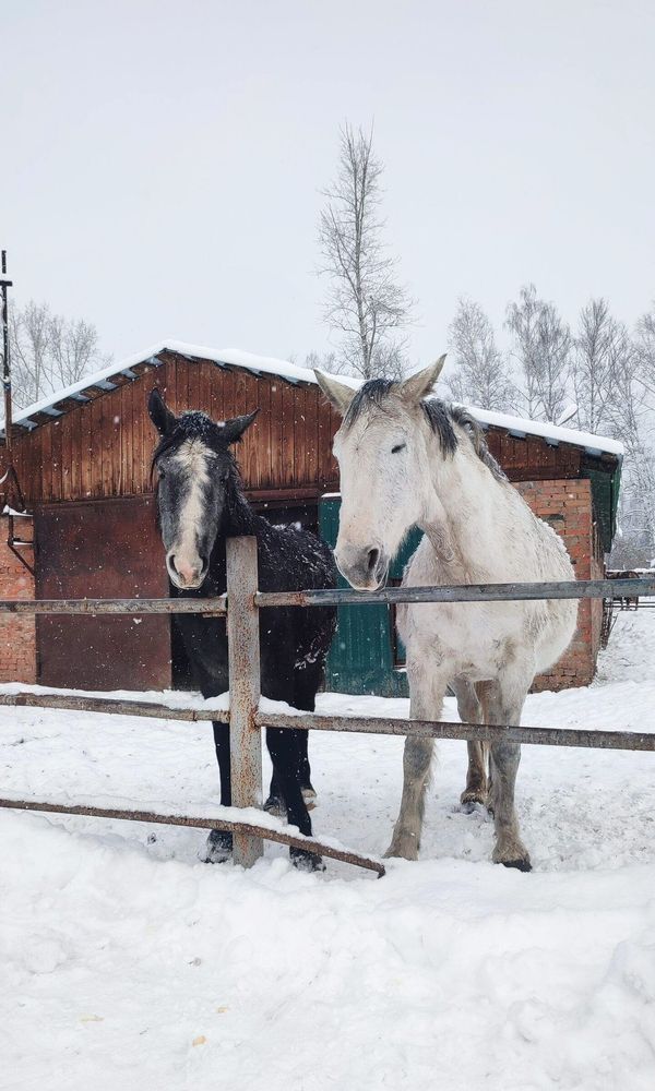 Photograph by Полина Скурская