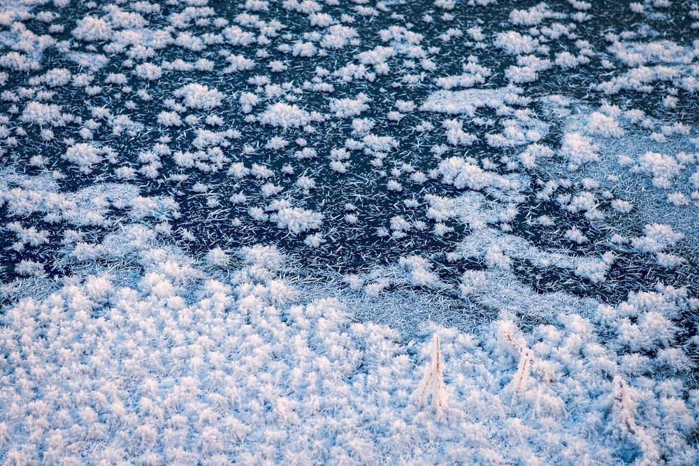 Photograph by Роман Гурененко