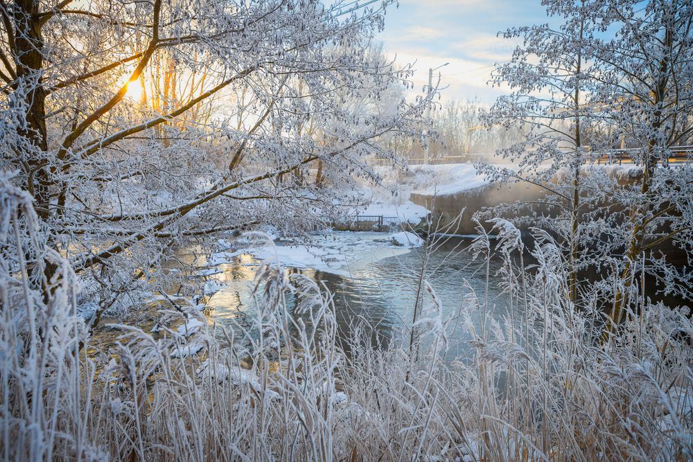 Photograph by Роман Гурененко