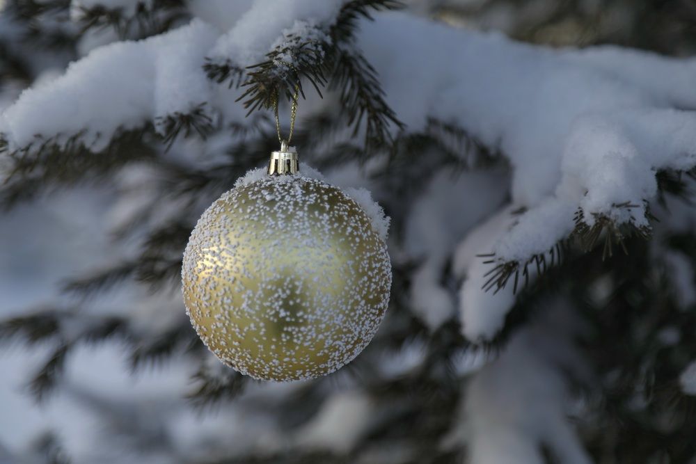 Photograph by Лариса Ким