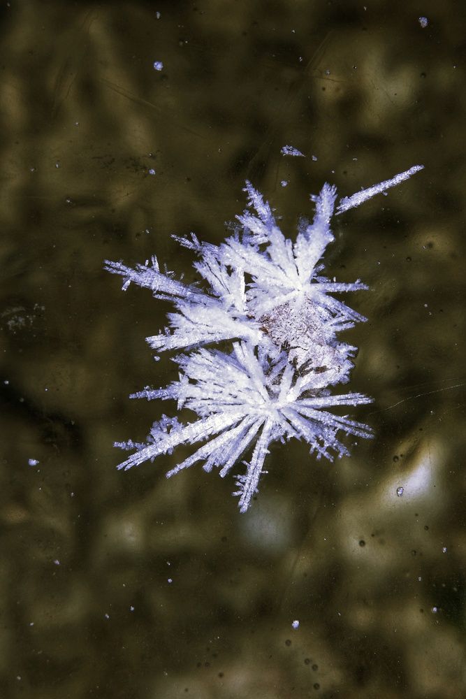 Photograph by Микрокосмос Владимир