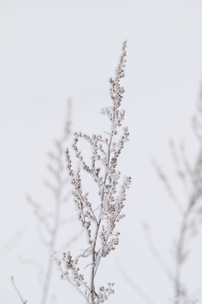 Photograph by Илья Леонов