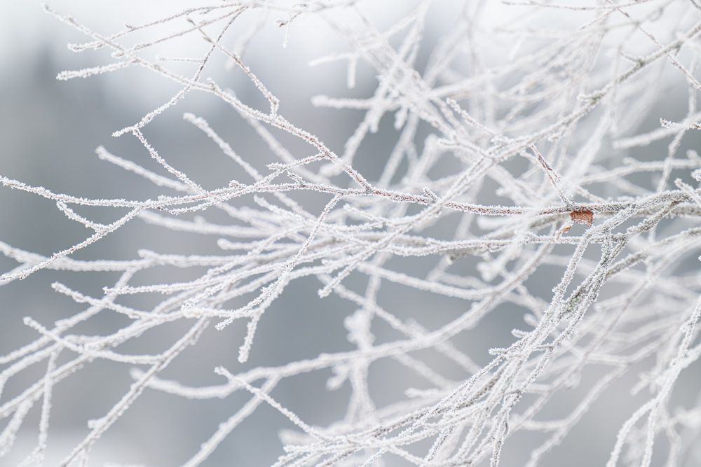 Photograph by Илья Леонов