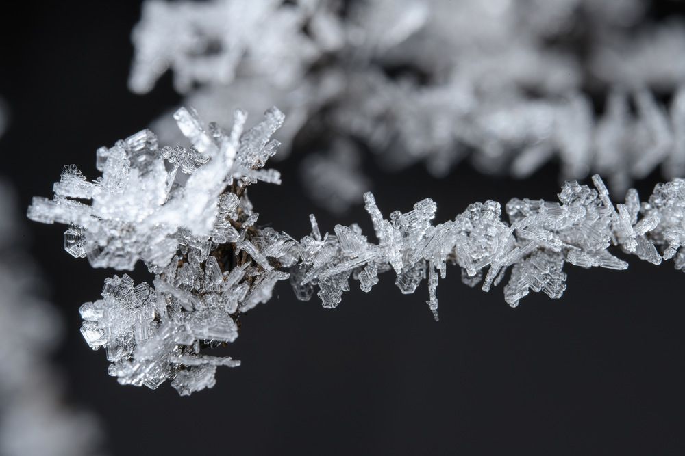 Photograph by Илья Леонов